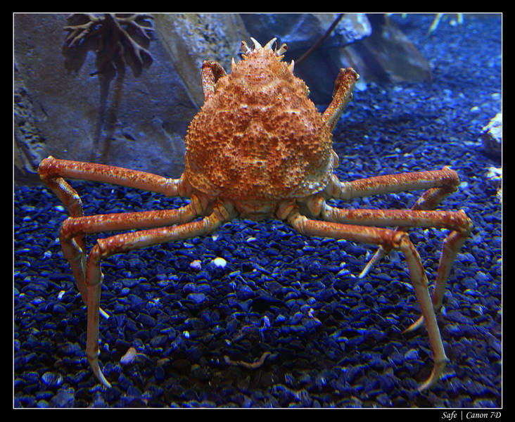 2012 - 06 - Dubai - 157